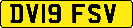 DV19FSV