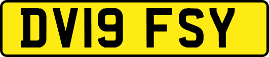 DV19FSY