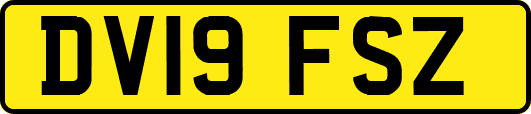DV19FSZ
