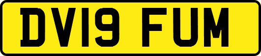 DV19FUM