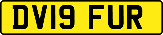 DV19FUR
