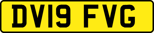 DV19FVG