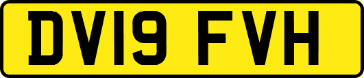 DV19FVH