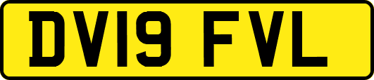 DV19FVL