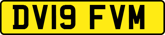 DV19FVM