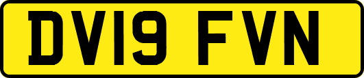 DV19FVN