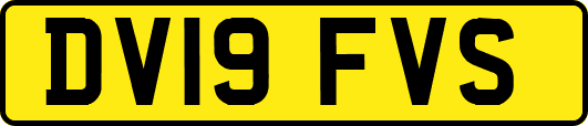 DV19FVS