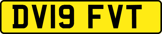 DV19FVT