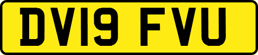 DV19FVU