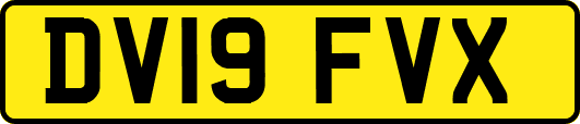 DV19FVX