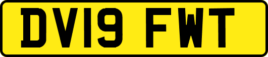 DV19FWT