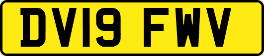 DV19FWV