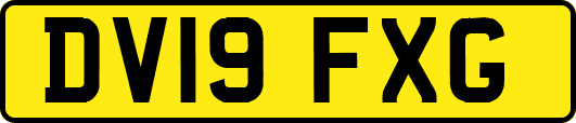 DV19FXG