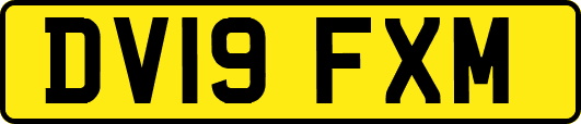 DV19FXM