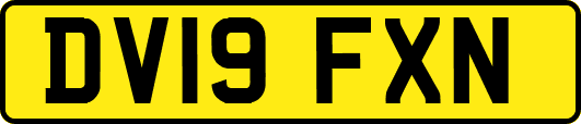 DV19FXN