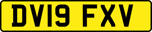 DV19FXV