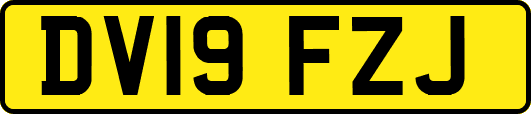 DV19FZJ