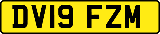 DV19FZM