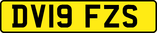 DV19FZS