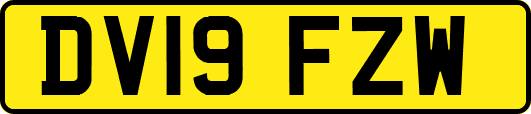DV19FZW