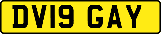 DV19GAY