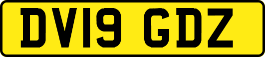 DV19GDZ