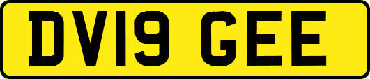 DV19GEE