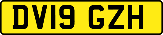 DV19GZH