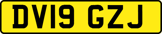 DV19GZJ