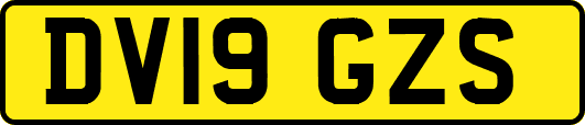 DV19GZS
