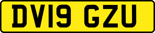 DV19GZU
