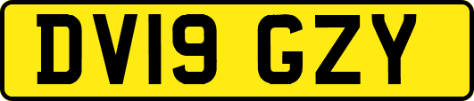 DV19GZY