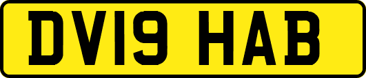 DV19HAB