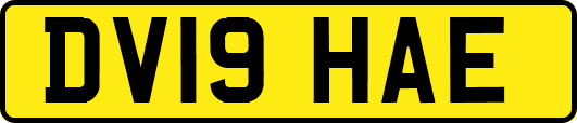 DV19HAE
