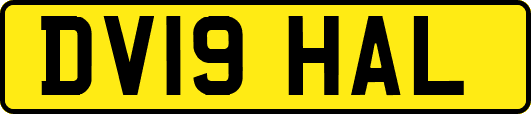 DV19HAL