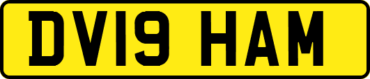 DV19HAM
