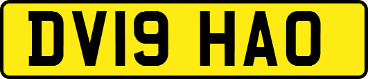 DV19HAO