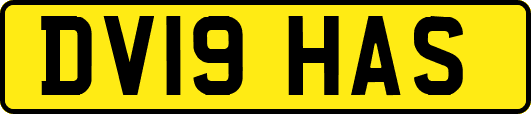 DV19HAS