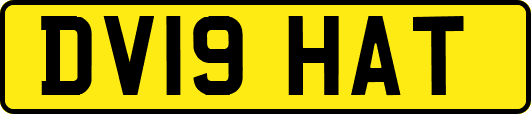 DV19HAT