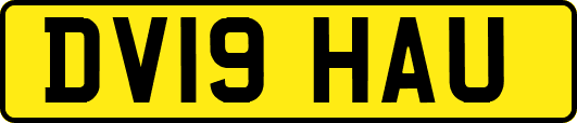 DV19HAU