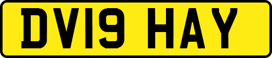 DV19HAY
