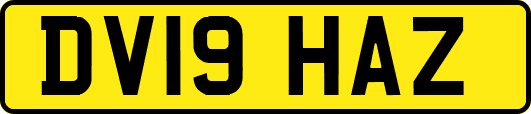 DV19HAZ