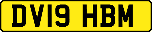DV19HBM