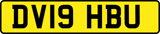 DV19HBU