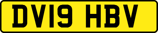 DV19HBV