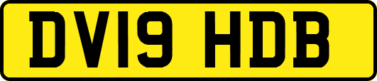 DV19HDB