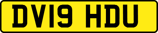 DV19HDU