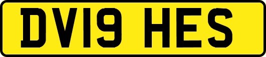 DV19HES