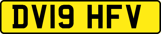DV19HFV