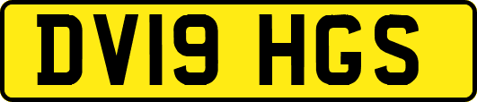 DV19HGS